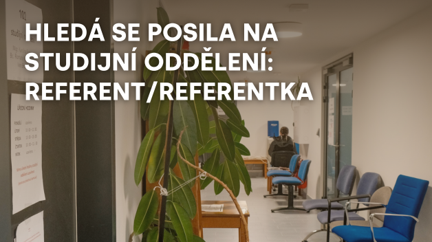 Hledáme posilu na Studijní oddělení