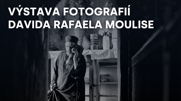 Výstava D. R. Moulise