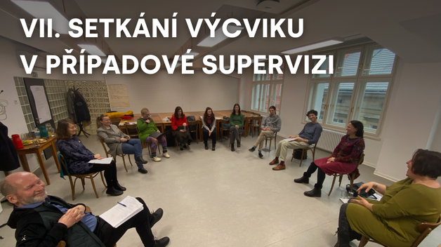 VII. výcvik v případové supervizi